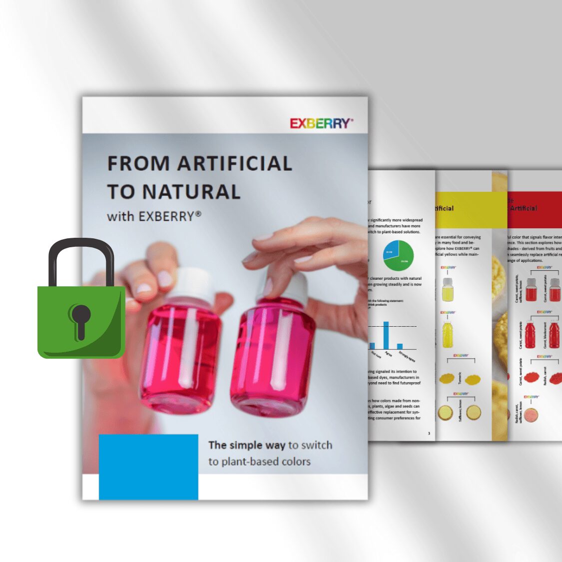 EXBERRY® Artifical Color Replacement Preview