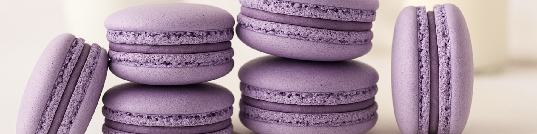 The Power of Purple – Factsheet