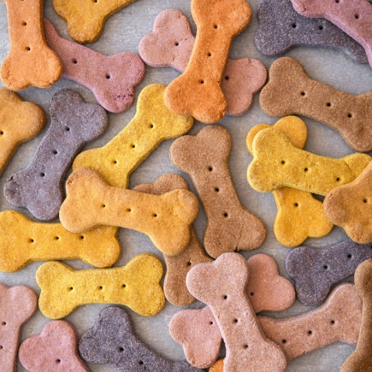 Baked treats and snacks for dogs