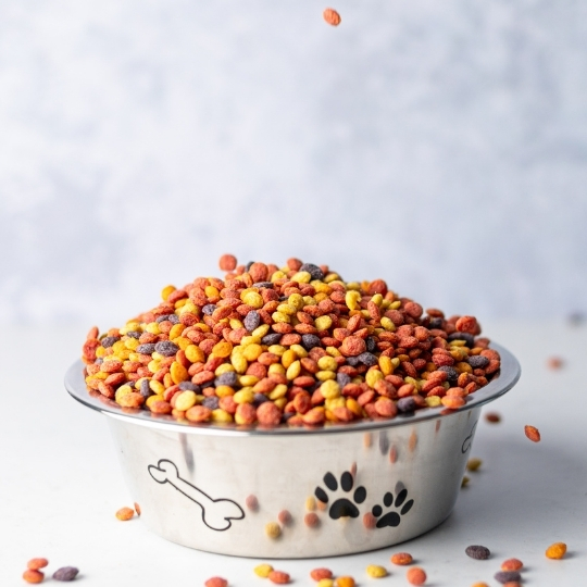 Dog food in a bowl
