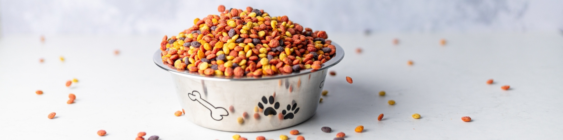 Factsheet: Spectacular shades in pet food with plant-based EXBERRY® ingredients