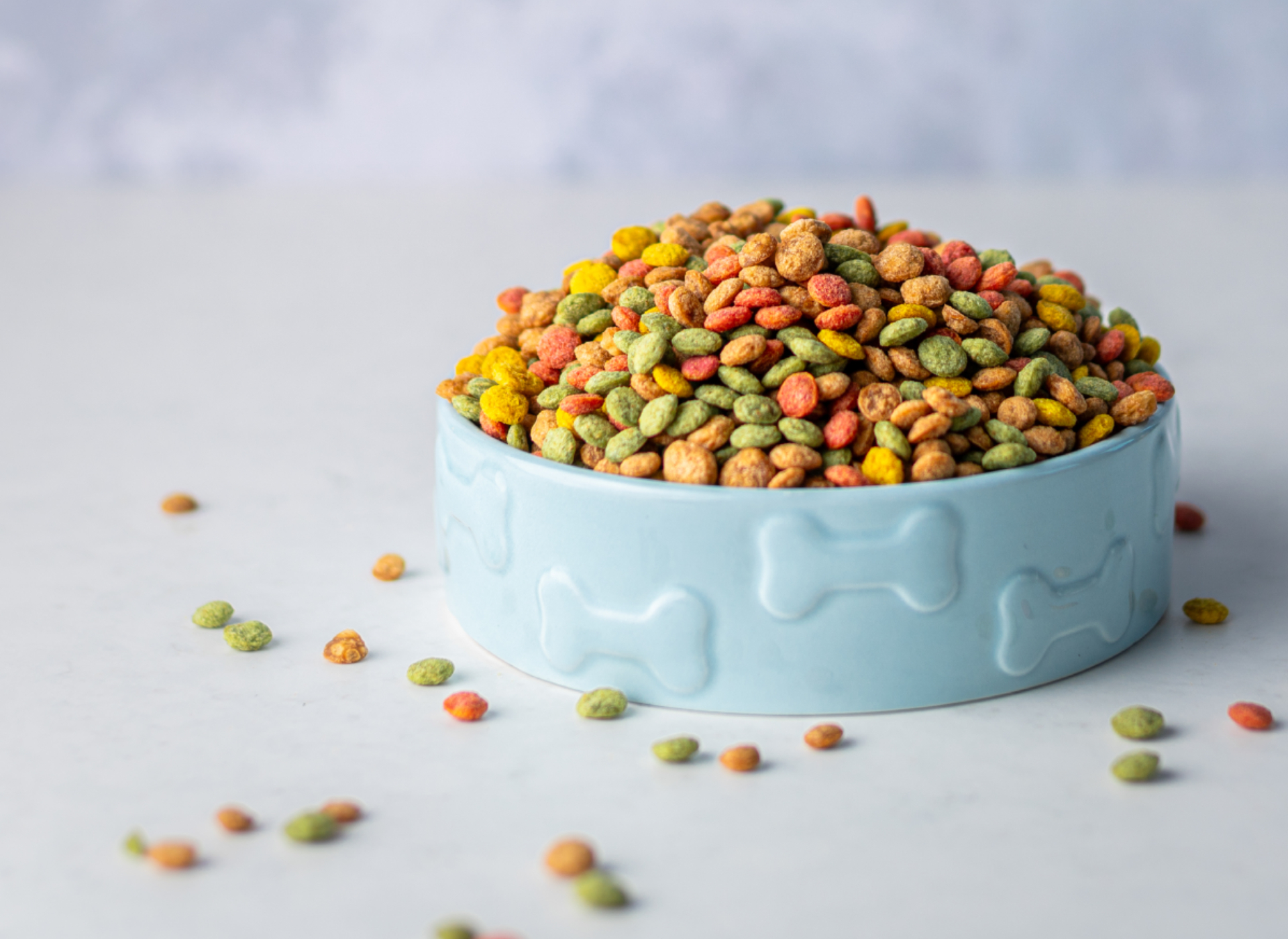 Colorful kibbles in a bowl