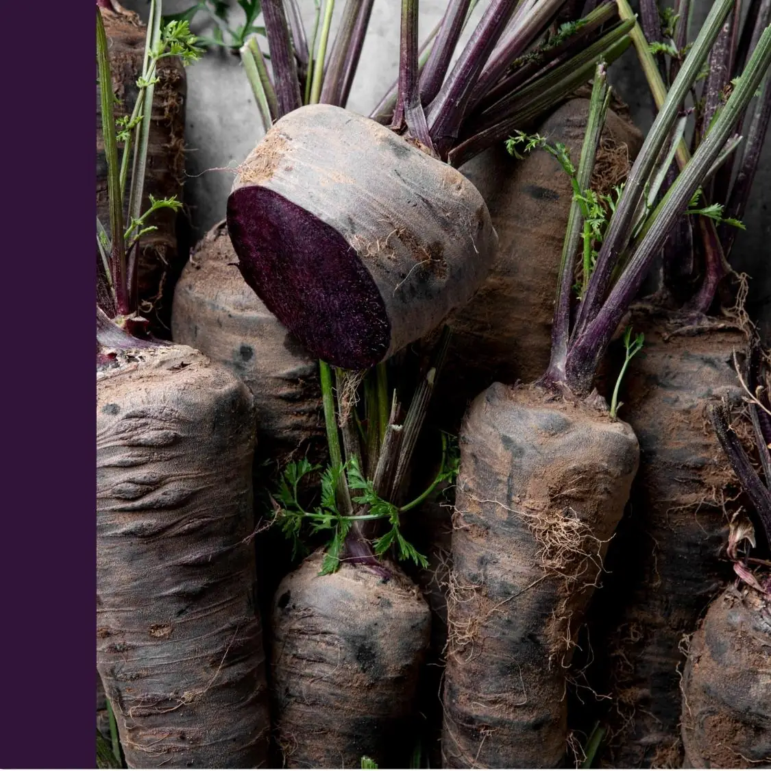 Black carrots