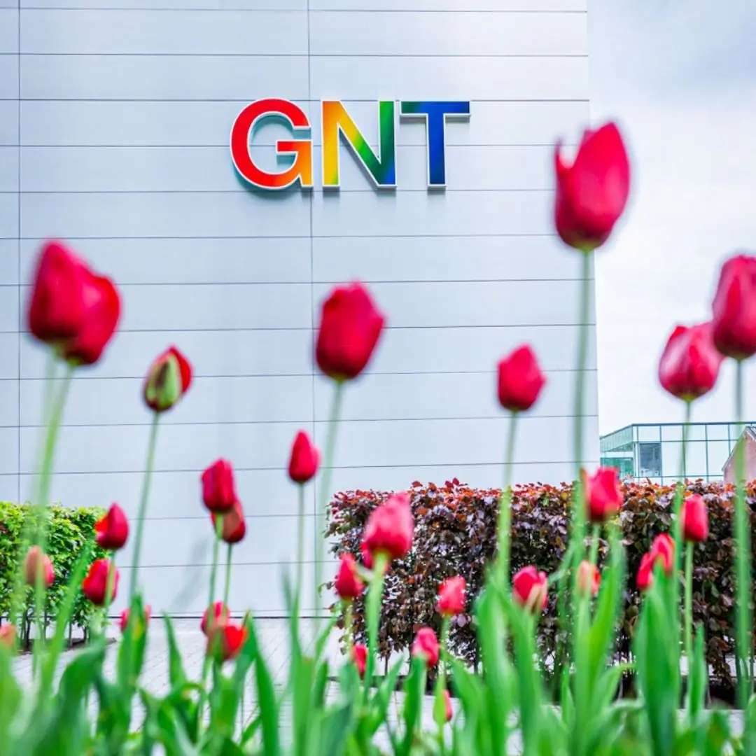 Red tulips at a factory